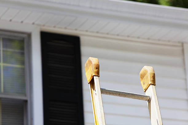 Best Fiber Cement Siding Installation  in Morehead City, NC